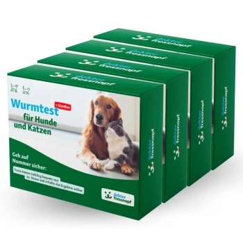 Dr. Fressnapf Wurm- & Giardientest Für Hunde Und Katzen 3+1 Gratis 1 Dr. Fressnapf Wurm- & Giardientest Für Hunde Und Katzen 3+1 Gratis