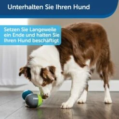 PetSafe Elektronisches Hundespielzeug Ricochet -Haustier Angebote Store 5eadda9b8e1c472d17e8160a968897c5f1589a26 1418724 de DE f0080b3bce77c44349e2b70b9453ceaf44e2d3d6nqnVTG