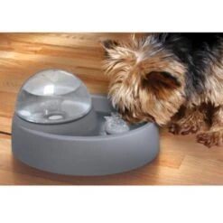 Numaxes Eyenimal Trinkbrunnen 1,5l -Haustier Angebote Store 612512ae3e55fd25731acfc2a0abcdc5bfeba8fb b7754bc2b320ccef10b70045a810474d6996a8cb