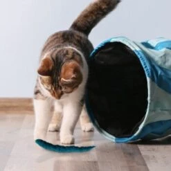 Kater Kasimir 3 Handgerollte Filzwürmchen Aus Schurwolle + 1 Mini-Flasche Katzenminze-Spray -Haustier Angebote Store 628f7d1d4ec1f70990cd24d861db16d7b447278c 1409266 de DE e1034005335ef5de37662c8ab367f77b33e0f5830ItxtL