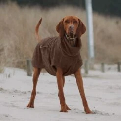 THE DOG IDEA Bademantel Every Braun XXXS -Haustier Angebote Store 62c517832f7f923b83b0a0ee681a77b2e33cc3c3 1473036 de DE 2393ef51979dd0191b0261c826741cb7543b7b3brAaZfV