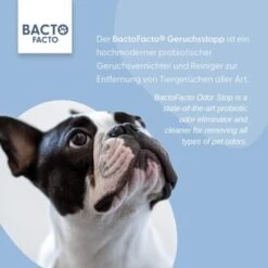 ChronoBalance BactoFacto Probiotischer Geruchsstopp Pads Für 2 Liter 20 Ml -Haustier Angebote Store 6515b6e6800e68909a0a5f7e0f816613e8c36542 1397549 de DE 9a466fcf5c88e78df191b07c6d764f4746df49dcxtsIbT