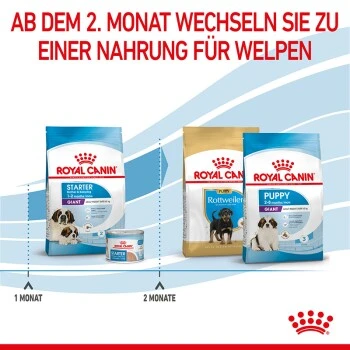 ROYAL CANIN Giant Starter 15kg 6 ROYAL CANIN Giant Starter 15kg – Bild 6