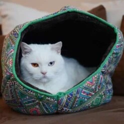 Canadian Cat Company Katzentunnel COSMO M -Haustier Angebote Store 67f448259cbca2b76f0f056d6321e3f462cbbfb2 1412665 de DE 5bb2b25340ddb934c05b11da4b3410ce26fcf1f8fEc8B6