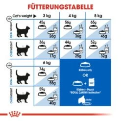 ROYAL CANIN Home Life Indoor 27 10 Kg -Haustier Angebote Store 6855ea56169c61d168abae97a8d80ba01554e9eb 688c4066a69b0c3b06fbf04bd78e076cef620042