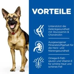 Hill's Canine Active Longevity Mature Adult 6+ Senior Large Breed 14 Kg -Haustier Angebote Store 6aef2dc6c63c040d4fa47f8a4eb80d66def76689 52742025926 4