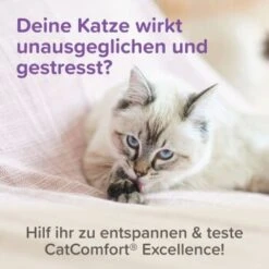 Beaphar CatComfort Excellence Starter-Kit 48ml -Haustier Angebote Store 6fdca6f354e1543df4c6d643f7d274cd6651ccda 1416646 1 2