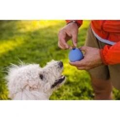 Ruffwear Turnup™ Spielzeug Violett -Haustier Angebote Store 708e59a1fbc9e9a4e5a251230d3a5a466a41cd46 1639873 de DE aed329193f910634e544626b706606bf1d9a42e0yMTSe3