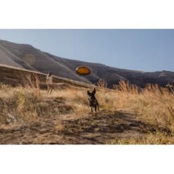 Ruffwear Hover Craft™ Spielzeug Orange -Haustier Angebote Store 7111f12b44323f3d6c15a85a889225520ab85f0d 1364297 de DE 664accd36f55b32e3ca302e20a868b09c8c0d85ePbTUSI