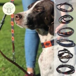 Kipita Polo Hundeleine Lively -Haustier Angebote Store 723664551049d07ec68d4460c73d9e010a1f061e 1410956 de DE 625a832dcf10b95b1e48e9321358f0ba1de3b45ee0gteQ