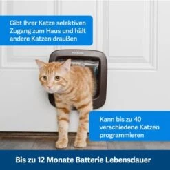 PetSafe Mikrochip-Katzenklappe, Braun -Haustier Angebote Store 775b18f6b394339222c015c366e842b38f68db0d 1320732 de DE 20a9d24e3f3c8cf99d113f90bafe2f3bfdcc87d0ttEYqC
