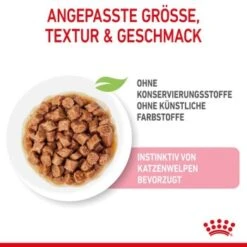 ROYAL CANIN KITTEN STERILISED In Soße 12 X 85g -Haustier Angebote Store 7788943ca3adca2f0652e2721d0ff66dc4a99811 1298264 de DE Kittenster 3