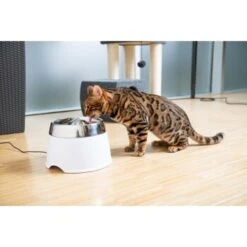 AniOne Edelstahl-Trinkbrunnen Trevi Ohne Ersatzfilter 5 AniOne Edelstahl-Trinkbrunnen Trevi Ohne Ersatzfilter -Haustier Angebote Store 7a066af048695bbfaeca0a855e5984fc3bf99d03 689fcf415d486ac05c07f2a4868b1d087d7a9ece