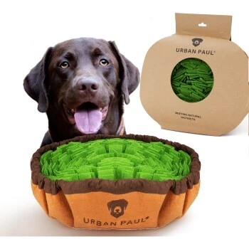 URBAN PAUL Schnüffelteppich - Grün 1 URBAN PAUL Schnüffelteppich - Grün