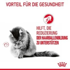 ROYAL CANIN Hairball Care 12 X 85 G -Haustier Angebote Store 81812c97ef6be37b8d0c7dab9df24712cfb21604 1229818 4