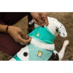 Ruffwear Swamp Cooler™ Kühlendes Halstuch Blau/ Türkis XXS -Haustier Angebote Store 84380b323534f706adb064c5f59bfe1f6f8adfcb 1639914 de DE 09b76313830836f68f333eee06c0a6bd83fbeec4Hirkw3