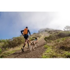 Ruffwear Hi & Light™ Geschirr Blau XXXS -Haustier Angebote Store 84fb3768d76aaadc77eacf0db0051f1af74c62df 1453085 de DE 781043d5a0c42f3d294eead840f1254891671d23roVLy1