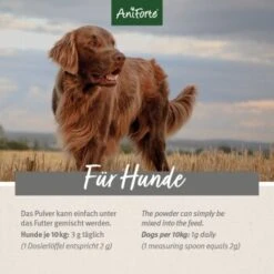 Aniforte 4in1 Complete Dog -Haustier Angebote Store 863df9312c354770c420c56efc95e2ead39bb452 1332843 de DE b031ceb424c8a1b82398a216b110edd0f14ffb59lVmP30