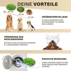 URBAN PAUL Schnüffelteppich - Grün 11 URBAN PAUL Schnüffelteppich - Grün -Haustier Angebote Store 88b1e83589eb6f9b9d6ae1ee9e00f76cd280ec72 1477263 de DE c4a0dff3ce61eff6f47a9625e837cb3fb18e27168j8mOa