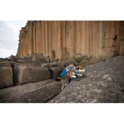 Ruffwear Grip Trex™ Hundeschuhe -Haustier Angebote Store 8a04129089dd0c034c3440ca2f5a059543497a42 1363993 de DE 62eaf59e4c30b32a0494684f66bc46a3e77f909dJ6uyPm