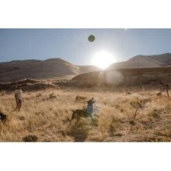 Ruffwear Hover Craft™ Spielzeug Orange -Haustier Angebote Store 8b74389fdbc592fa493fa8449b24cad477f71e65 1364297 de DE d7bfcddc5967d79946d8e13f648d6053d56005c9XiBl8J