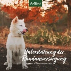 Aniforte 4in1 Complete Dog -Haustier Angebote Store 8c5939e9a034077a3552f158dbe5f91fd29e1215 1332843 de DE aca85754970fb7b2c441c0d2dd5fcc395b1360c0UEca49