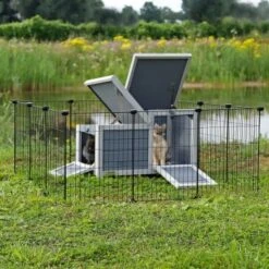 Lionto DIY-Kleintiergehege -Haustier Angebote Store 8ce511e37d3b765fa8615119e80e9c8728c27359 1657947 de DE 1389ad110191a675b16fc523e3bf63c805e91b97e3kGpz