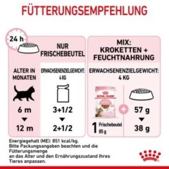 ROYAL CANIN KITTEN STERILISED In Soße 12 X 85g -Haustier Angebote Store 8d171ca751cce37016bda574b8a71985c8aac177 1298264 de DE Kittenster 7