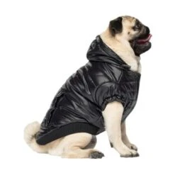 Canada Pooch Glänzende Pufferweste XXS -Haustier Angebote Store 8ec11177ec9f86d200ff22bc3e0c234ecff91e7e dfb5b396c833a1ace7625fc5796632bee13eda68