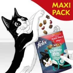Felix KnabberMix 5x200g Strandspaß -Haustier Angebote Store 8fd1ad46501b4c142c4d5be252f6aa66def0dbc9 1366669 de DE felix snacks wb7