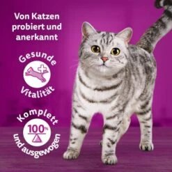Whiskas Tasty Mix Multipack Chef's Choice In Sauce 40 X 85g 16 Whiskas Tasty Mix Multipack Chef's Choice In Sauce 40 X 85g -Haustier Angebote Store 90c69f8b60998b1e42a320aa3c632d7b173d2464 1410720 de DE Whiskas 7