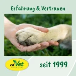 CdVet Ohrenpflege 20ml -Haustier Angebote Store 91ea9619f0a6a9470d4078716478f9946127aa43 1033310 de DE 9de31ae422c889f65e12a1085ee6ba81b11de6a3JFtiHC