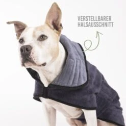 KaraLuna Bademantel Für Hunde XS -Haustier Angebote Store 9361fc7afff972d50d51367a1a280b0bb189b529 1678940 de DE 42e9b5f72b7023449641a1e9c69c089f18b66176087Eny