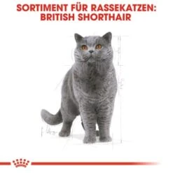 ROYAL CANIN British Shorthair Adult 2 Kg -Haustier Angebote Store 9365d2e698cecd605cd1a65c1f6739678bb8db93 b918cdac1f0d9facd4834fa0fbe07edcafd8fe8b