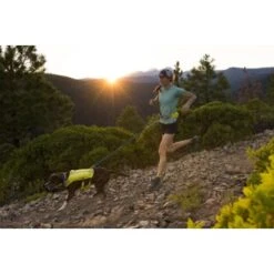 Ruffwear Trail Runner™ Laufgurt Limonen Gelb L-XL -Haustier Angebote Store 93a58c4fc27710218901d94aece28188b07bd319 1651444 de DE 8247d7fe22d77de2e7ea731c778011a0fe985828KUUc7c