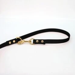 THE DOG IDEA Biothane Hundeleine Gold Schwarz -Haustier Angebote Store 9939842b49b014dcd08b66900dd9e5fdaa668fba 1655416 de DE 1785c105e6c4bec8ca1c905b49a6a2332dc4134epf8BNK