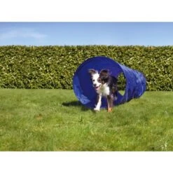 AniOne Agility Tunnel -Haustier Angebote Store 9b82da119a923abe80bb6d63ef97328c5e1e7dcf 2dc906b772e837b2770e0f896237c640992fd5d2