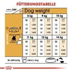 ROYAL CANIN Französische Bulldogge Adult 9 Kg -Haustier Angebote Store 9dbc188c7c49ece9751ee9e9a42507afdeacfe58 492dcd565b2e242eeecc9809762702b0e25fea79