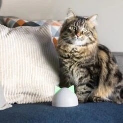 SureFlap Sure Petcare Hub -Haustier Angebote Store 9f5bfec8de043f4a92cd1437f562ae1683a10820 46ac2e41b6bc8ea03ea15881bcebd38d8c7bf830