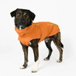THE DOG IDEA Regenmantel Duke Orange XXXS -Haustier Angebote Store a1af009970fbe0d49b23b55aae3478442e9eb5e6 1473000 de DE e975935bd14ae10e3cbf4709cc9d05a6879844e2TUSiIw