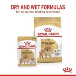 ROYAL CANIN BHN Pomeranian 1,5 Kg -Haustier Angebote Store a5b0449729747ea0e5b34ec2ce2b2c8fbb6bc409 1379877 43