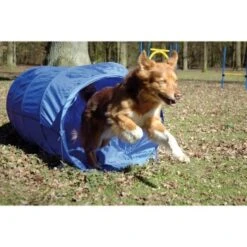 Dobar Agility Tunnel, 60 X 500 Cm -Haustier Angebote Store a70db425a55e65c0dd33cb4658677f3cead28e72 3dc1d9596c73e287c8ea8bc83f8445abe7adc92a