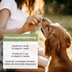 Aniforte Hanfkekse 200g -Haustier Angebote Store a7e0572484f9fe6ba37a77d6bd5bc40268a74abe 1480470 de DE 46ac5b30e7ecb574f59967b071dd7bc14252b77dI4cyvf