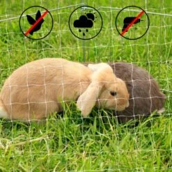 Lionto Katzennetz Inkl. Befestigung -Haustier Angebote Store ad1b651d8bcc461ab7a5d32a4c77b44e521cf768 1665913 de DE 7c500006d9abf3223e26fa8841d70bed2db024adIv4nbt