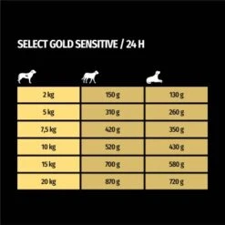 SELECT GOLD Sensitive Senior Huhn & Reis 6x400 G 7 SELECT GOLD Sensitive Senior Huhn & Reis 6x400 G -Haustier Angebote Store ada4b2948bf9c1013a90dc0a54aaa28a0a1fcabe 1099560 de DE 7