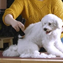 Moser Schermaschine Arco Pro 14 Moser Schermaschine Arco Pro -Haustier Angebote Store b131ca6d4dc18dbcff5826048d13c7a9865a2f22 9527aaf3ea2ef7fd3da12225a4b042dbe7fd8159