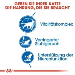 ROYAL CANIN Indoor 7+ 3,5 Kg -Haustier Angebote Store b15b3a341edb82d3b0b2fbcdfa1085a485519ef2 8029a12bcb04e5bfd8b7a4d93e4a2c997c8d2856