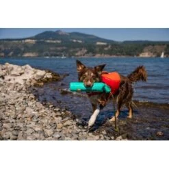 Ruffwear Lunker™ Spielzeug Blau/ Türkis -Haustier Angebote Store b1ff74faaf51c648517e284bc677372b2de917b1 1364294 de DE 872baa13c3c684e3cd884d6a02e37e7e22ad686cLNC7EY