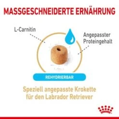 ROYAL CANIN Labrador Retriever 5+ Adult 12 Kg -Haustier Angebote Store b50c8a1435989a2950ce72ea20cdae574ad4dd3b 41e4c74c4663698bb5e9447245da100c9a5fa5fe