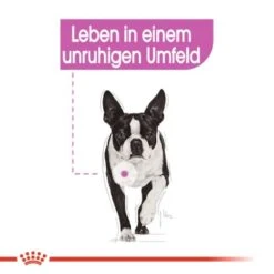 ROYAL CANIN Relax Care Mini 3 Kg -Haustier Angebote Store bc21685a55dde6700f1426e5dcfbc4c03ca223ed f8d247f6eb11347905c067951ee80800ad541e52